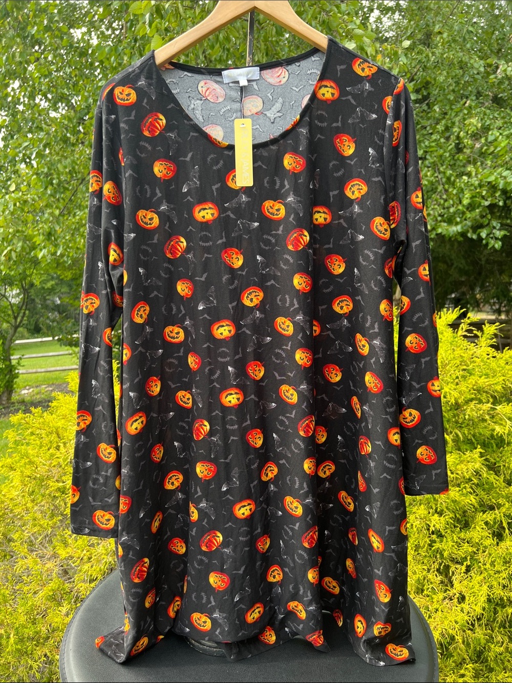 Riley and James Halloween Dress Size 2X